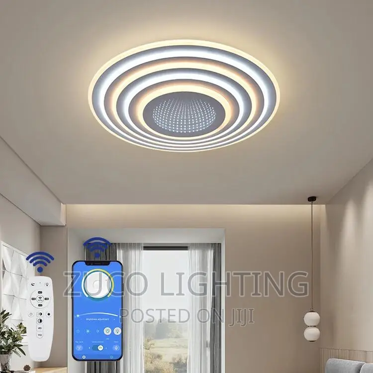 Modern Luxury Creative LED Ceiling Light With Remote Control