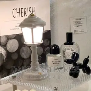 Mini Led Light