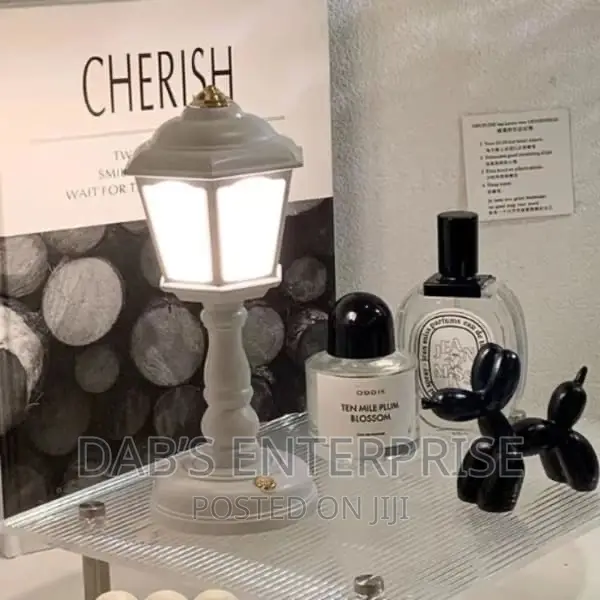 Mini Led Light