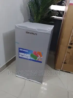 Best Selling 90G Skyrun Refrigerator With Shelves