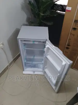 Best 90G Skyrun Top Freezer Refrigerator Single Door