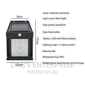 Solar Wall Lamp