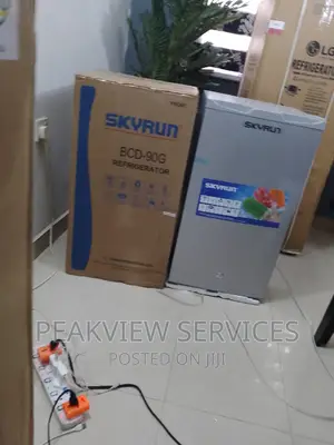 Quality Trending (90G) Skyrun Top Freezer+Key Lock
