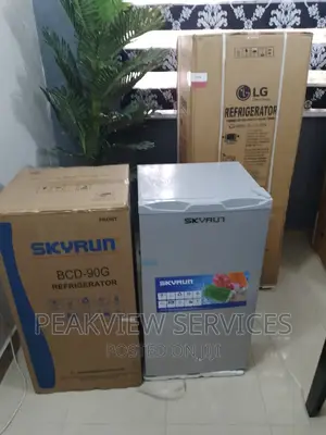 Trending Quality Skyrun 90G Single Door Refrigerator+Shelves