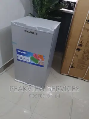 Original Skyrun 90G Single Door Refrigerator With Shelves