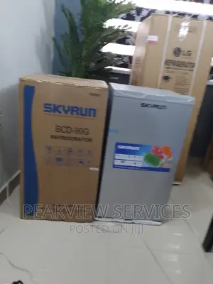 The Best Skyrun (BCD-90G) Single Door Refrigerator