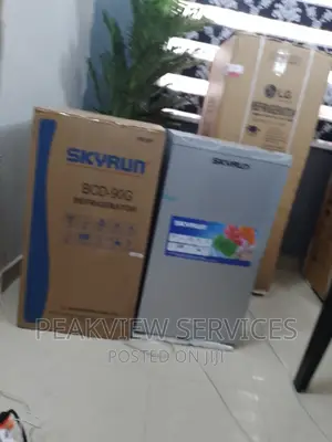 The Best 90G Skyrun Top Freezer Refrigerator Single Door