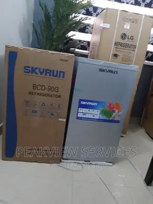 The Best Skyrun BCD-90G Refrigerator With Shelves