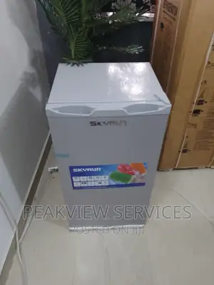 The New Skyrun (BCD-90G) Single Door Refrigerator+ Shelves
