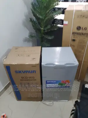 Low Noise (90G) Skyrun Top Freezer Refrigerator With Shelves