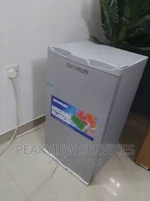 Super Cooling Skyrun Top Freezer Refrigerator Single Door