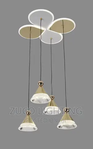 Mordern Luxury LED Dropping Pendant