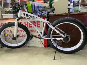 Best Quality New Standard Big Tyre Bicycle
