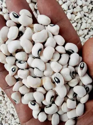 Dirt Free Beans
