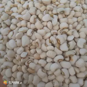 Dirt Free Beans