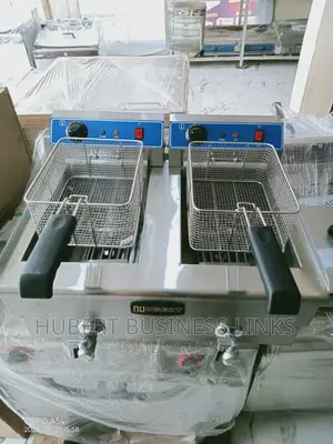 Industrial Electric Deep Fryer Double 20L
