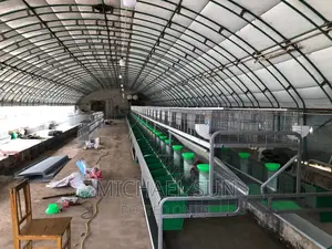 Rabbit Cages