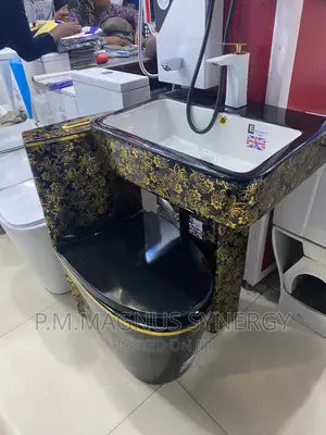 England Standard Black Design WC Complete.