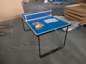 New Design Family Table Tennis Board