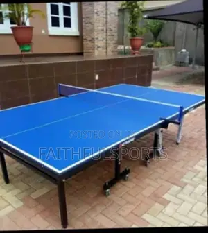 Best Quality Standard Deyoung Table Tennis Table
