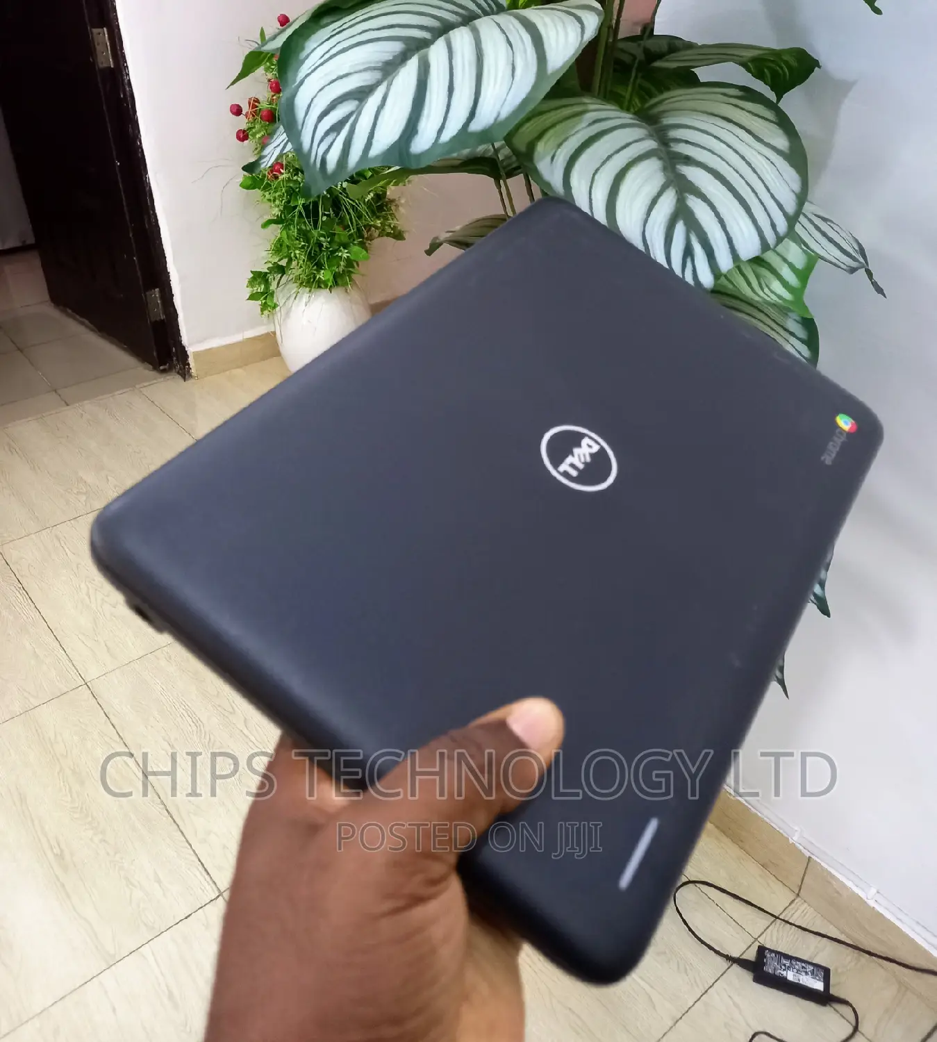 Laptop Dell Chromebook 3100 4GB Intel Celeron SSD 32GB