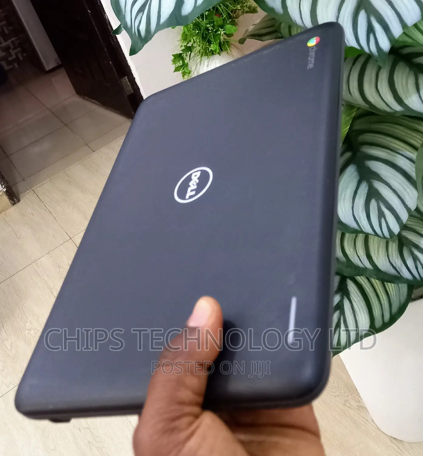 Laptop Dell Chromebook 3100 4GB Intel Celeron SSD 32GB