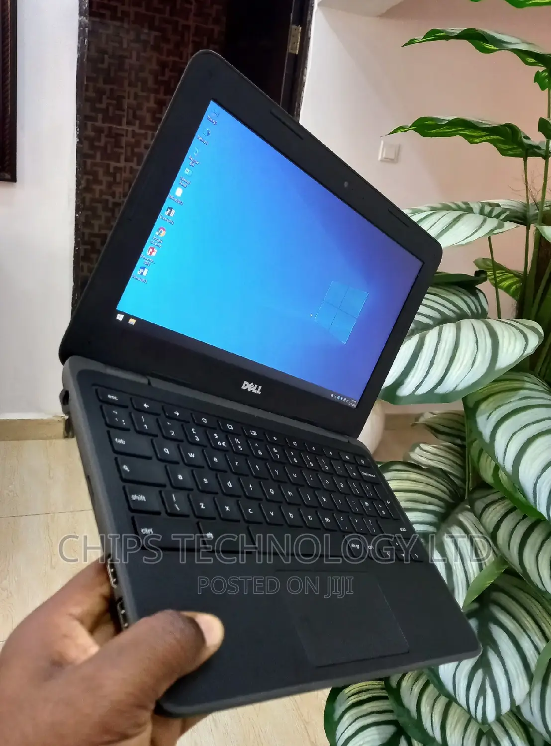 Laptop Dell Chromebook 3100 4GB Intel Celeron SSD 32GB