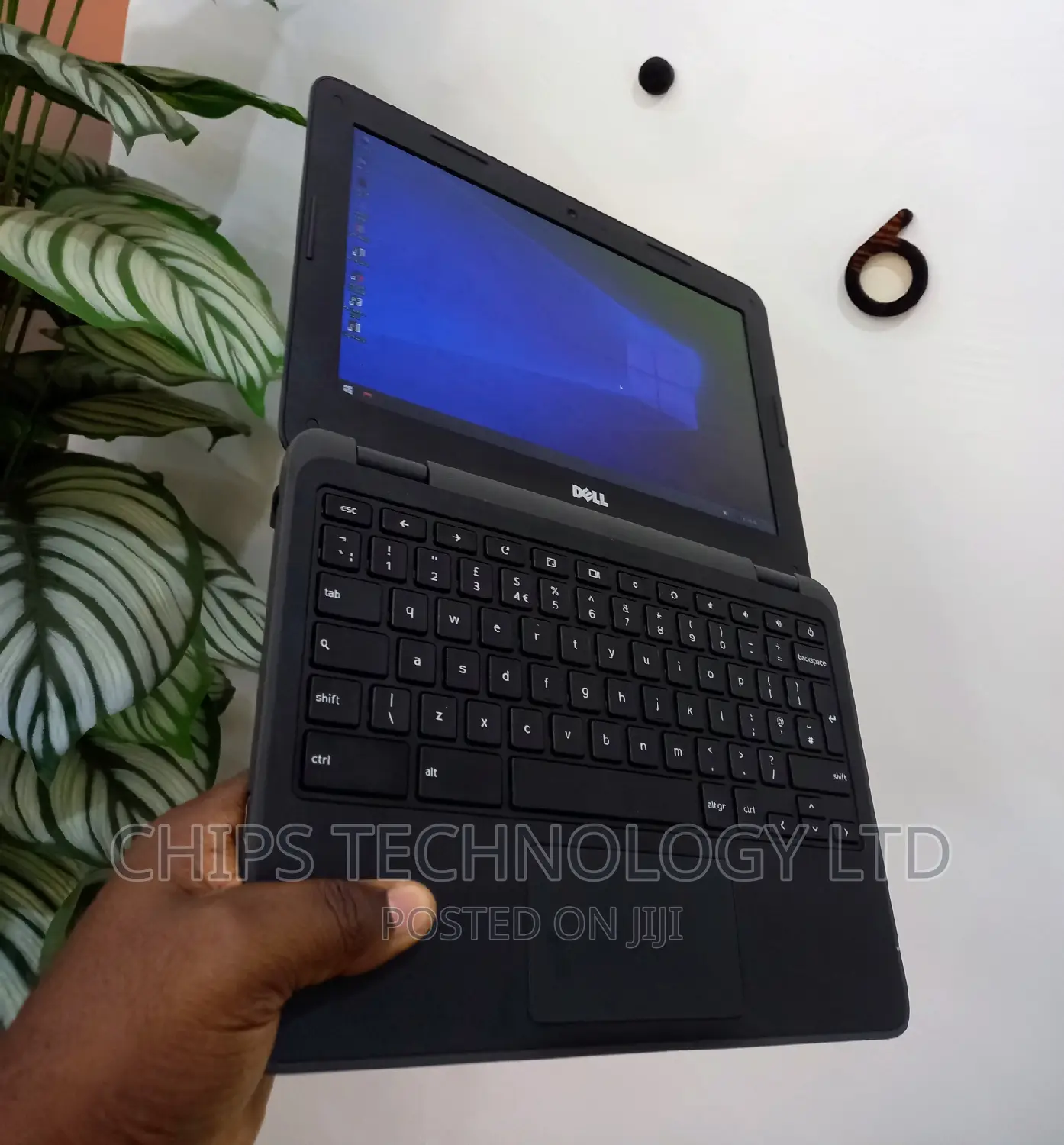 Laptop Dell Chromebook 3100 4GB Intel Celeron SSD 32GB