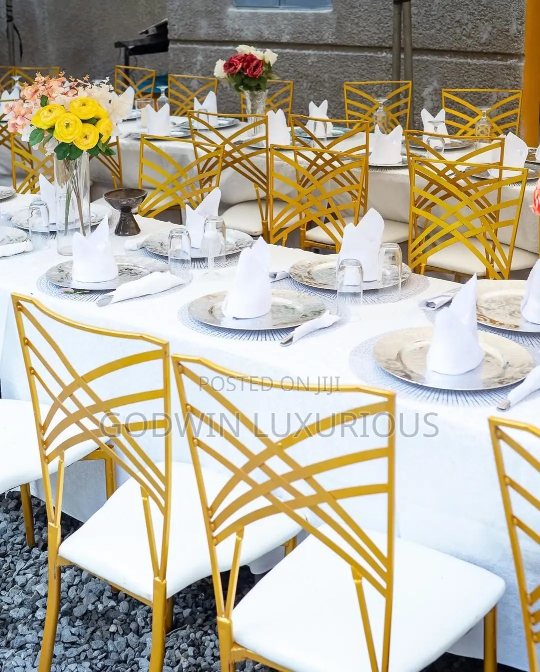 Gold Chameleon Party Chairs