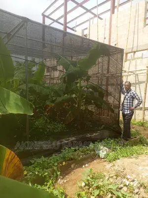 Green House Construction-1/2 Plot of Land.60'×60'