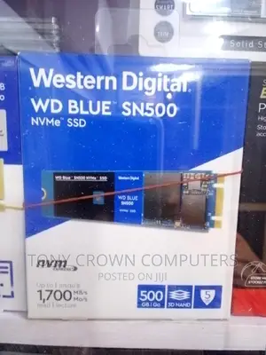 500gb Wd SSD Card Storage