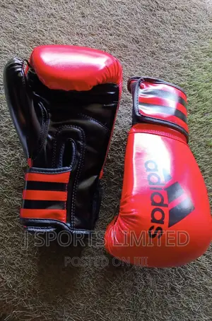 Adidas Boxing Gloves