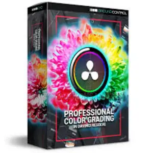 Master Color Grading in DAVINCI RESOLVE