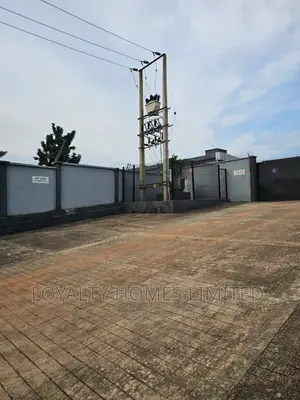 A Pharmaceutical Company
