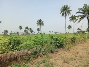 For Sale: 5 Plots at Redeem Camp Road, Rukpokwu