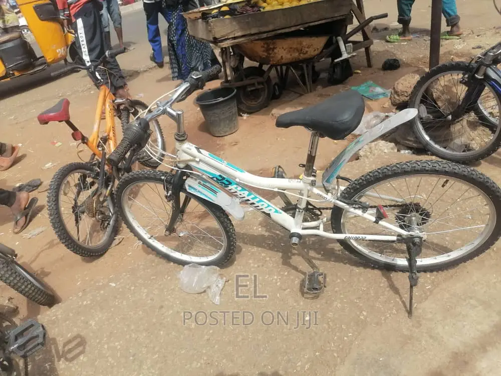 Professional Bicycle Mechanic