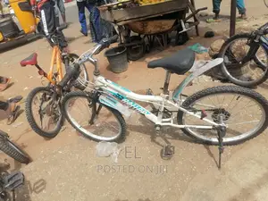 Professional Bicycle Mechanic