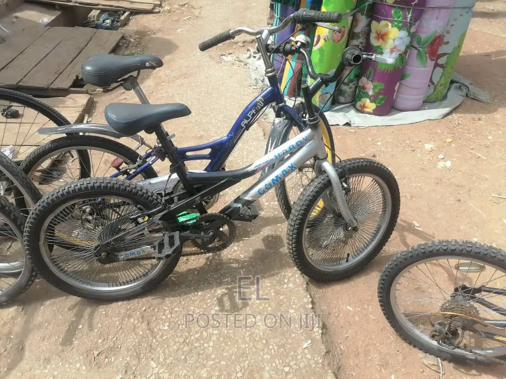Professional Bicycle Mechanic