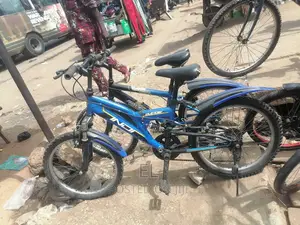 Professional Bicycle Mechanic