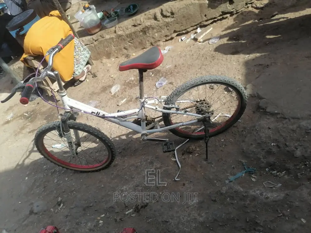 Professional Bicycle Mechanic