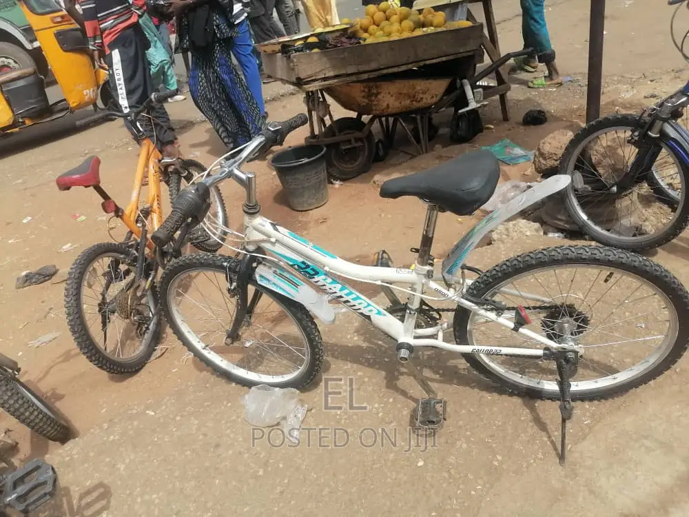 Professional Bicycle Mechanic
