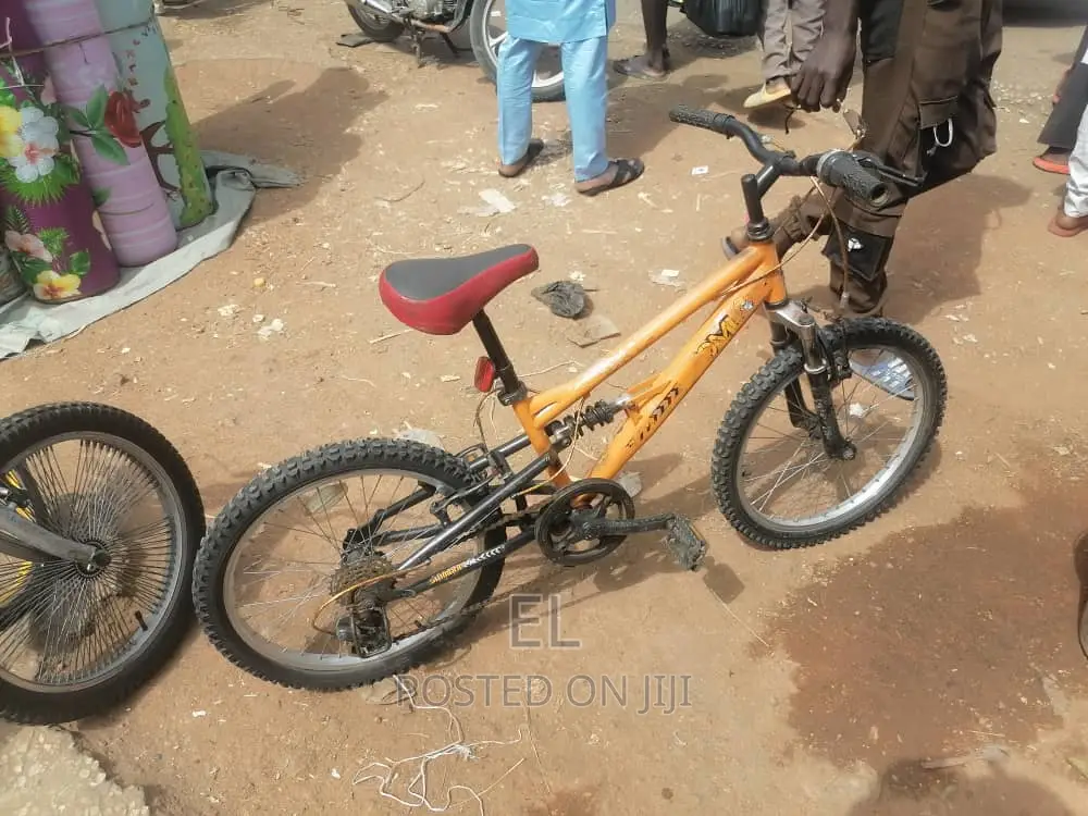 Professional Bicycle Mechanic