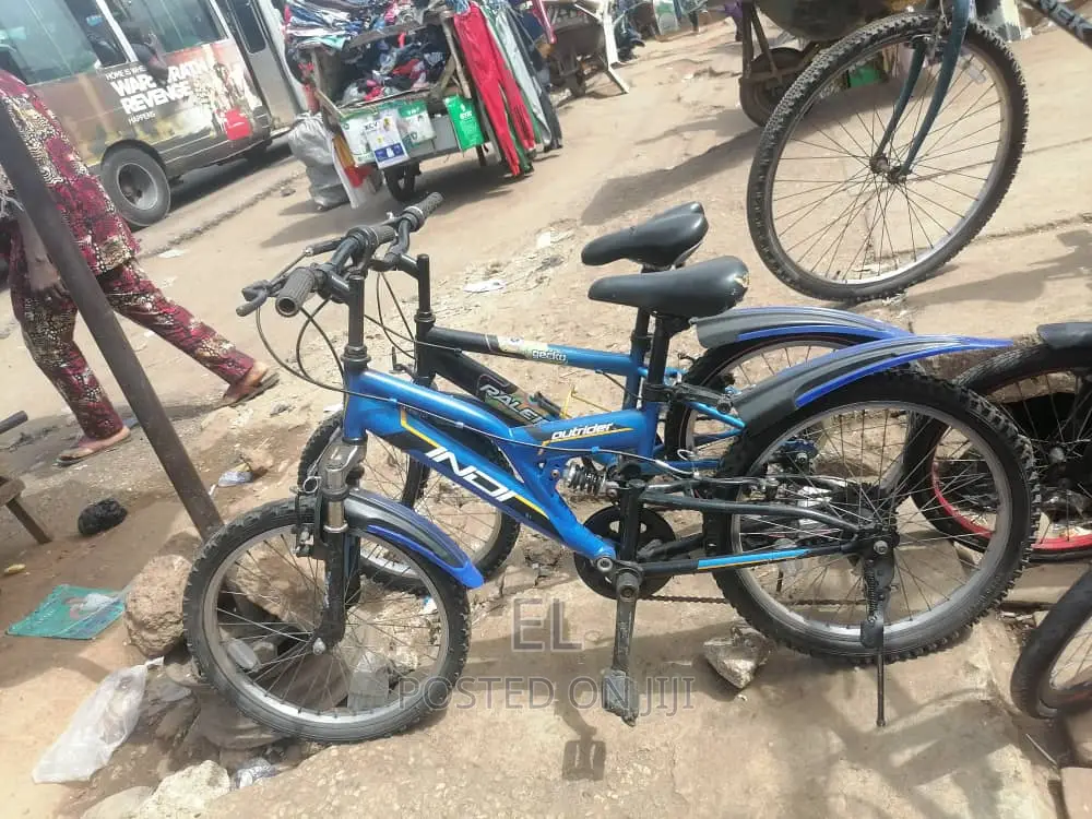 Professional Bicycle Mechanic