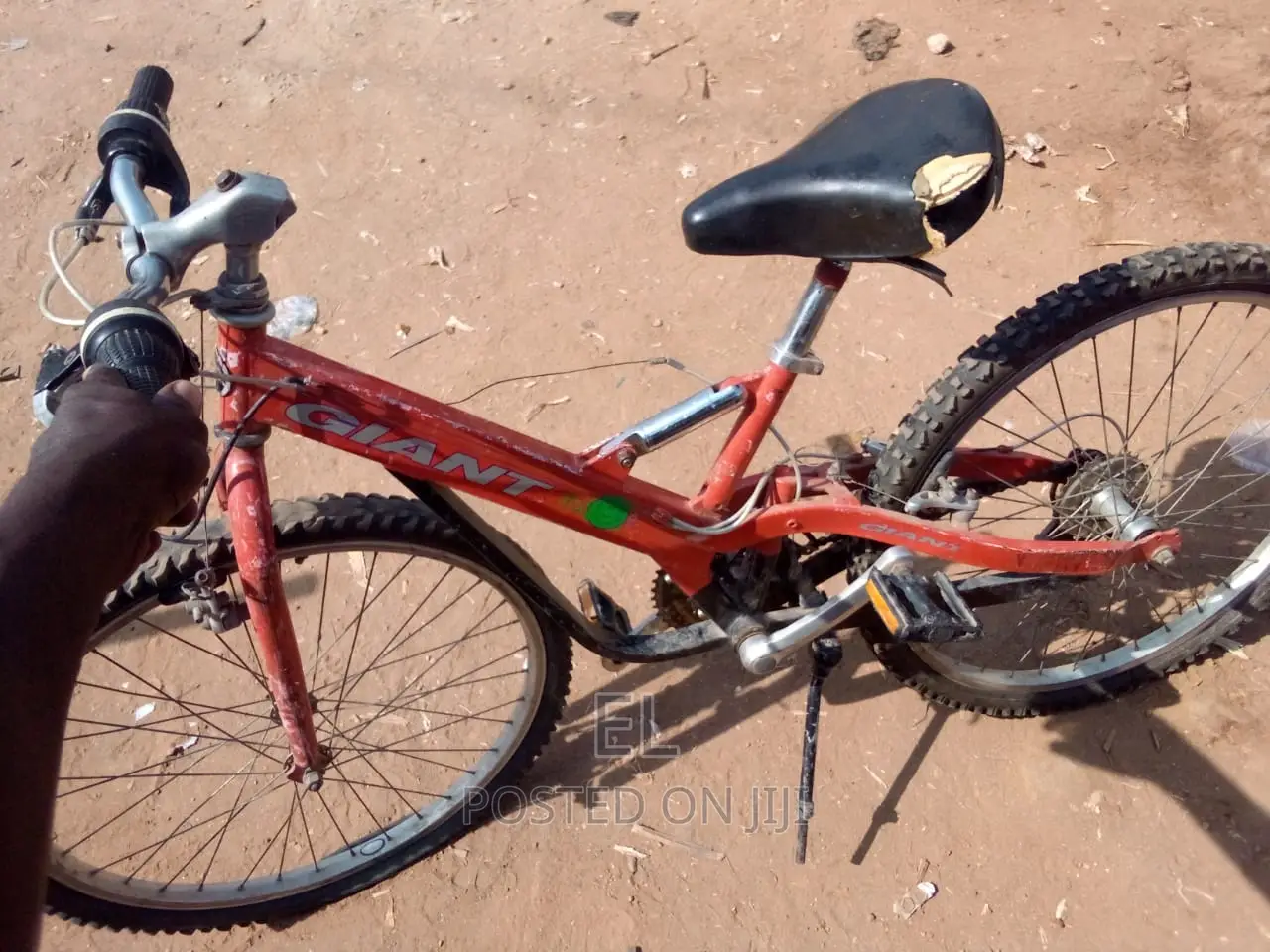 Professional Bicycle Mechanic