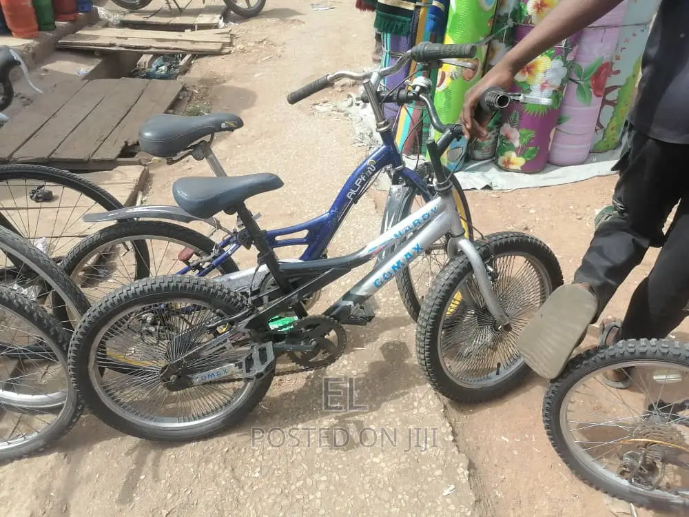 Professional Bicycle Mechanic