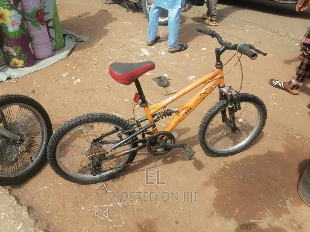 Professional Bicycle Mechanic