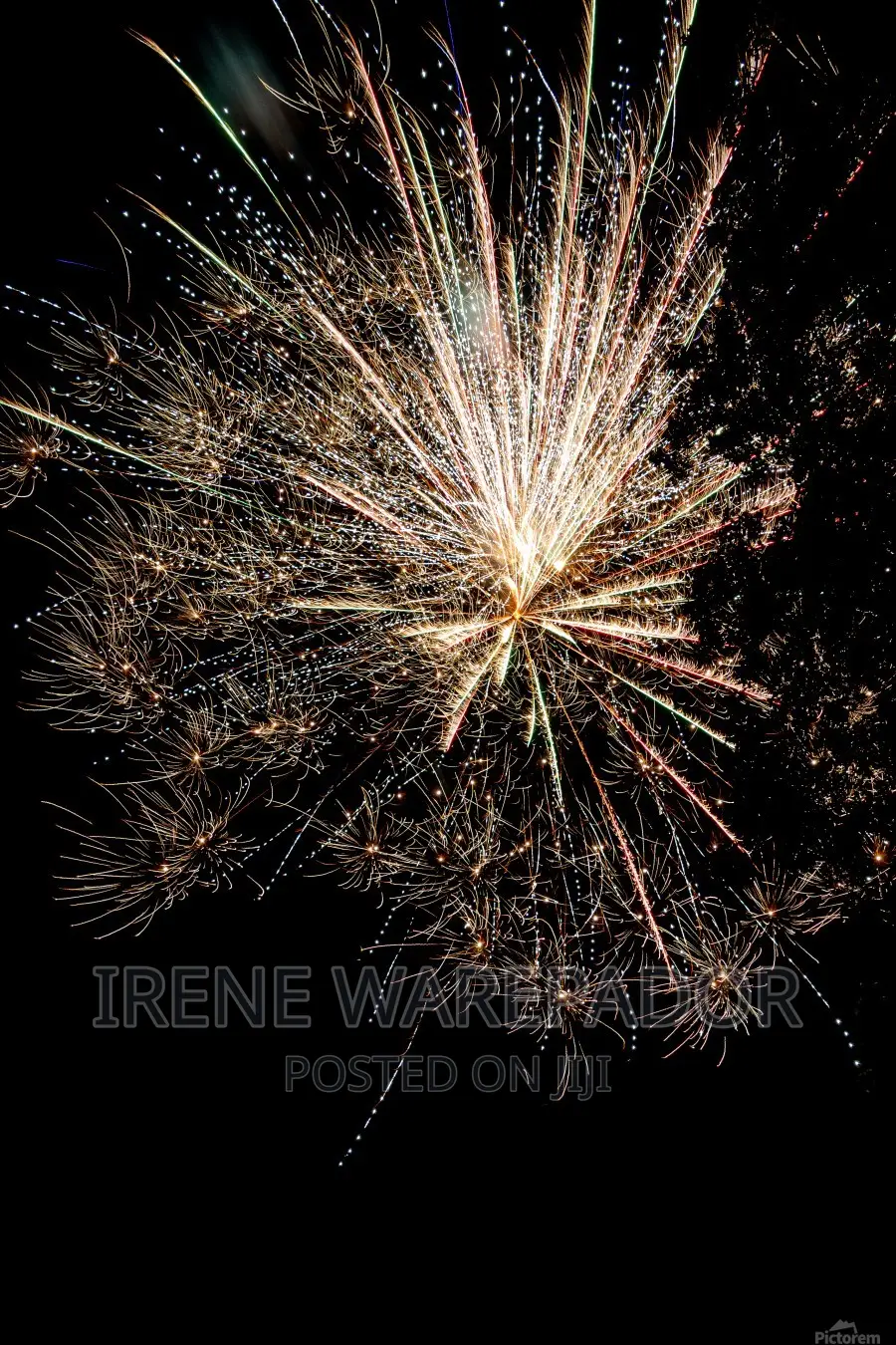 200 Shots Sky Firework