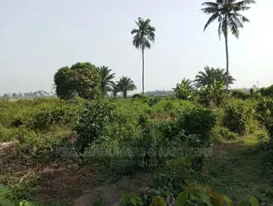 For Sale: 5 Plots at Apu Rd, Rukpokwu