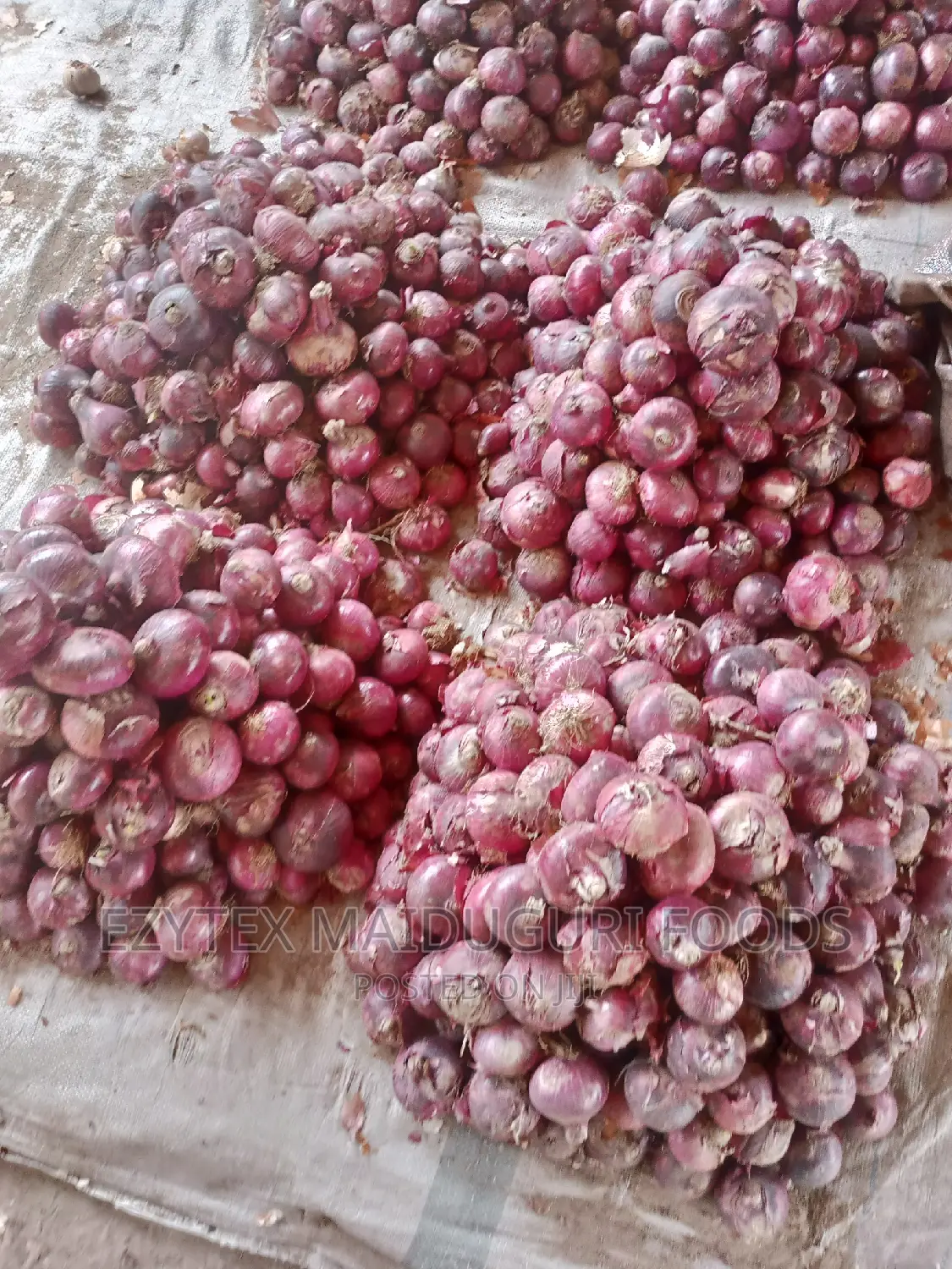Fresh /Big Onions