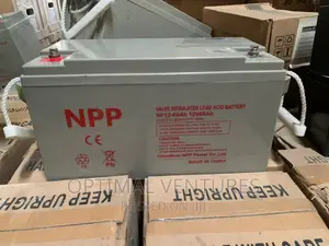 Photo - 12V 65ah NPP Battery